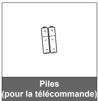 Piles (pour la télécommande)