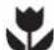 ELECTROLUX ESE6101A-BSG - tips and information - 1