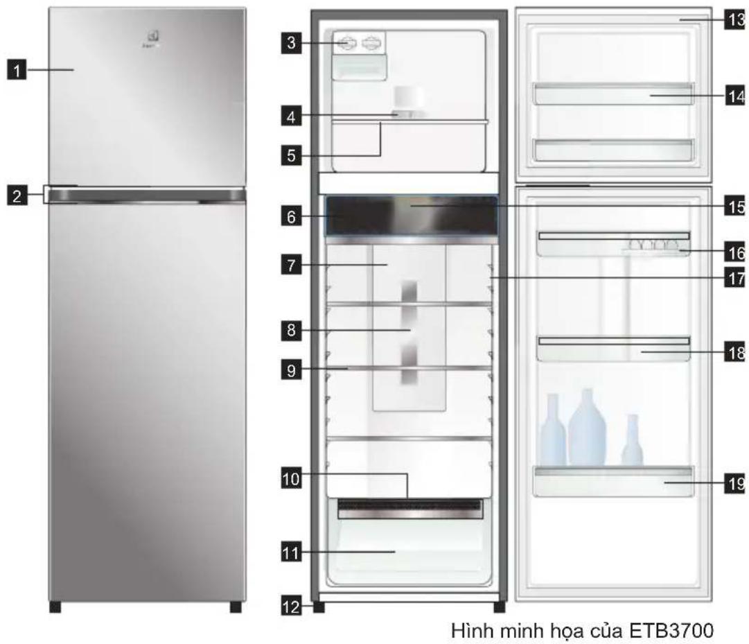 ELECTROLUX ETB3760K-H - CÁC BỘ PHẠN CỦA TỪ LẠNH NGĂN ĐÁ TRÊN - 1