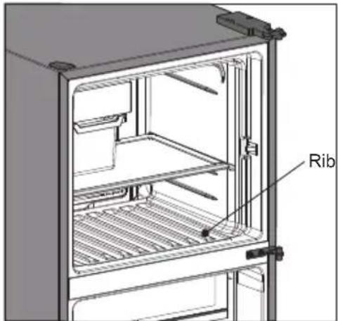 Rib