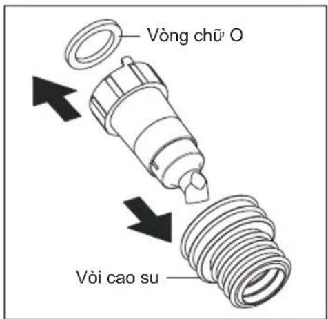 Vòng chū O Vòi cao su