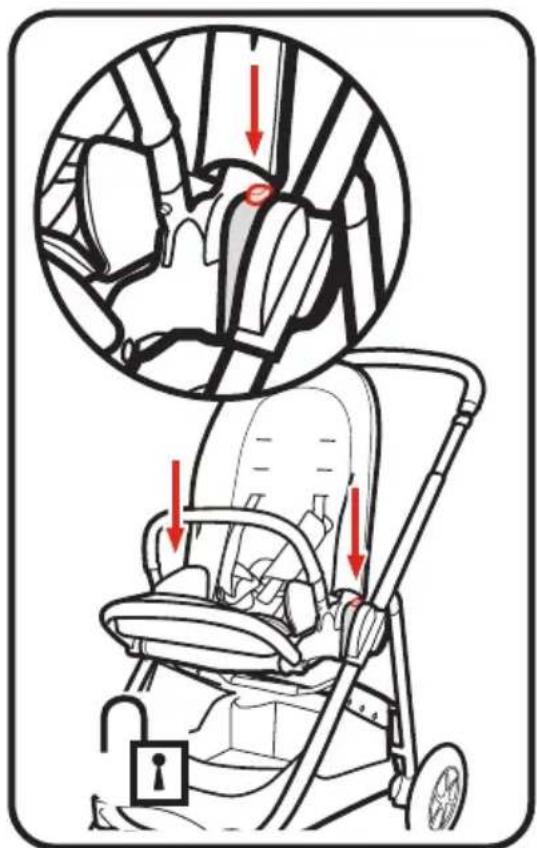 GRACO Premier Modes Lux - - Sujetar/sacar el asiento para niño pequeño - 2