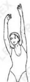 Proflex EXB1 - Inner Thigh Stretch - 3
