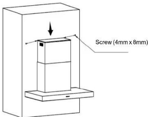 Screw (4mm x 8mm)