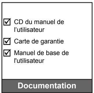 OPTOMA DH1011i - Accessoires standard - 4