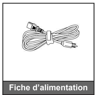 OPTOMA DH400 - Description du contenu de la boîte - 4