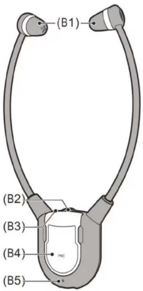 (B1) (B2) (B3) (B4) (MC) (B5)