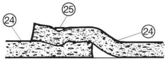 24 25 24