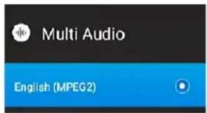 Multi Audio English (MPEG2)
