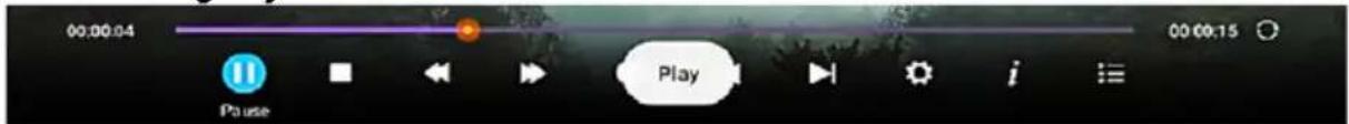00:00:04 00:00:15 Pause Play
