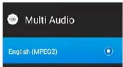 Multi Audio English (MPEG2)