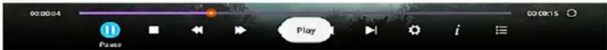00:00:04 00:00:15 Play Pause