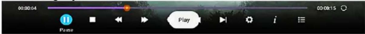 00:00:04 00:00:15 Pause Play