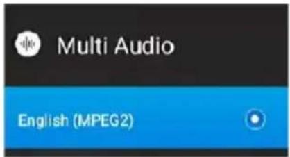 Vivax TV-55UHD123T2S2SM - Recorded list (Seznam posnetih zapisov): - 3