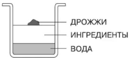 ДРОЖЖИ ИНГРЕДИЕНТЫ ВОДА