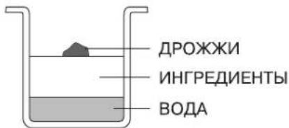 ДРОЖЖИ ИНГРЕДИЕНТЫ ВОДА
