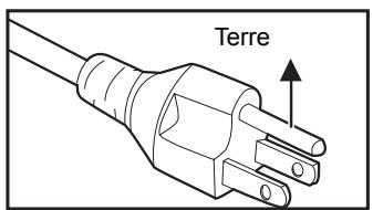 OPTOMA DS311 - Notes sur le cordon d'alimentation secteur - 2