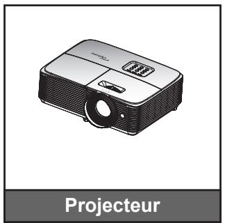 OPTOMA DS317e - Description du contenu de la boîte - 1