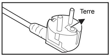 OPTOMA DS327 - Notes sur le cordon d'alimentation secteur - 3