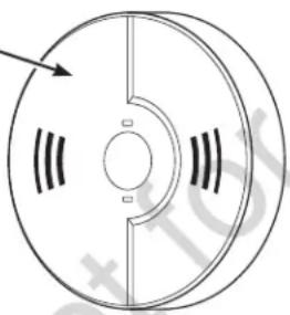 BRIGGS & STRATTON P3400 - Carbon Monoxide Alarm(s). - 1