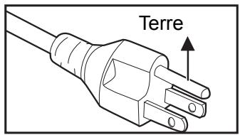 OPTOMA DS340 - Notes sur le cordon d'alimentation secteur - 2