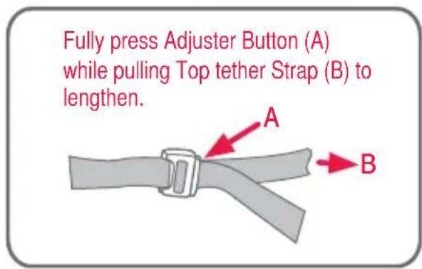 Fully press Adjuster Button (A) while pulling Top tether Strap (B) to lengthen.