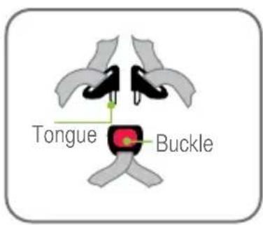 Tongue Buckle