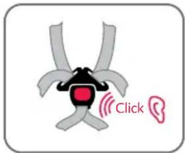 Click