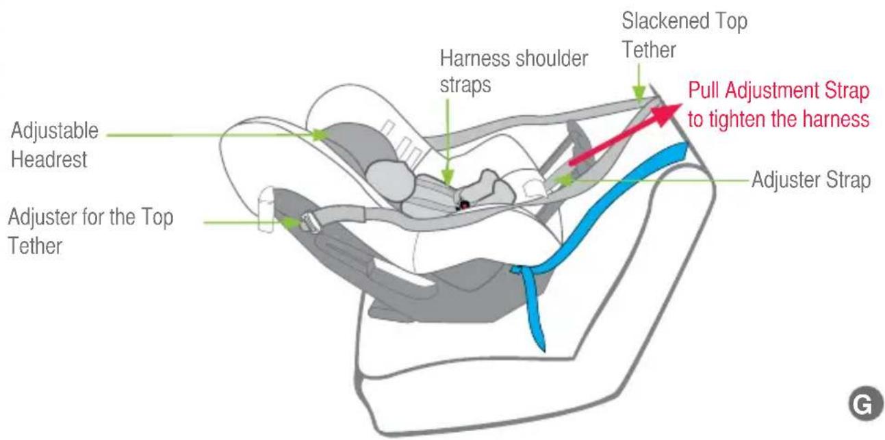 Slackened Top Tether Harness shoulder straps Adjustable Headrest Adjuster for the Top Tether Pull Adjustment Strap to tighten the harness Adjuster Strap