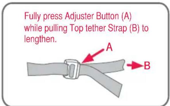 Fully press Adjuster Button (A) while pulling Top tether Strap (B) to lengthen. A B