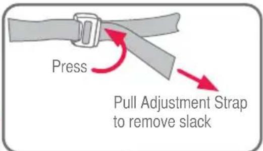 Press Pull Adjustment Strap to remove slack