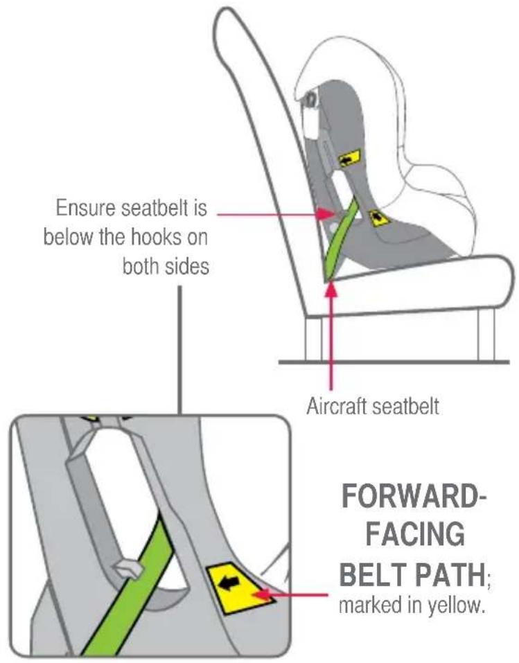 Ensure seatbelt is below the hooks on both sides Aircraft seatbelt FORWARD- FACING BELT PATH; marked in yellow.