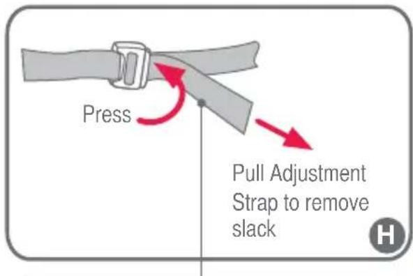 Press Pull Adjustment Strap to remove slack