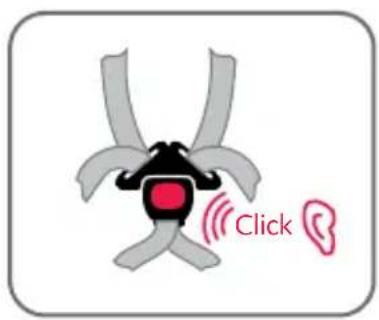 Click