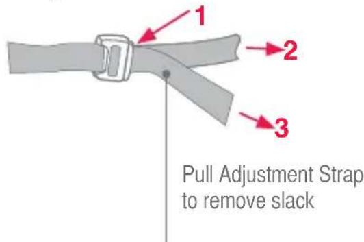 1 2 3 Pull Adjustment Strap to remove slack