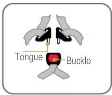 Tongue Buckle