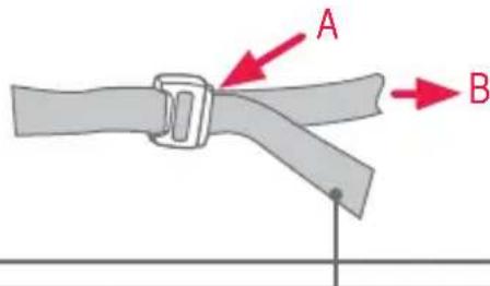 A B