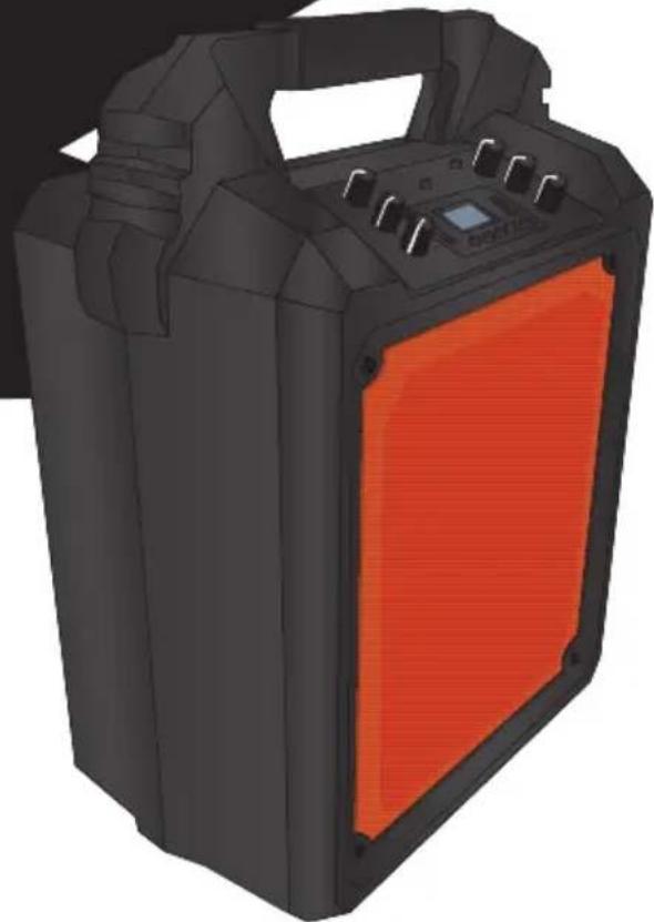 Steren AMP-025BT - 1