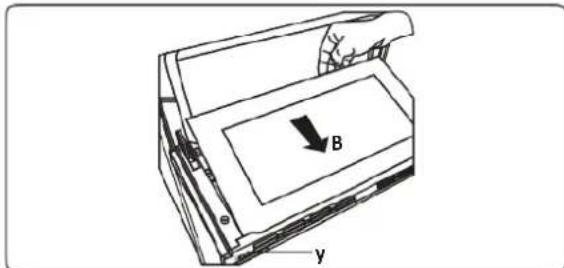 B y