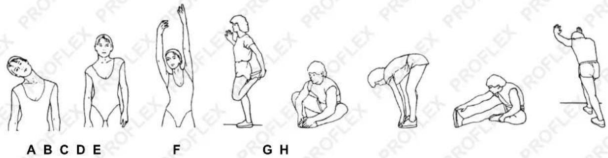 A B C D E F G H PROFLEX PROFLEX PROFLEX PROFLEX PROFLEX PROFLEX PROFLEX PROFLEX PROFLEX PROFLEX PROFLEX PROFLEX PROFLEX PROFLEX PROFLEX PROFLEX PROFLEX PROFLEX PROFLEX PROFLEX PROFLEX PROFLEX PROFLEX PROFLEX PROFLEX PROFLEX PROFLEX PROFLEX PROFLEX PROFLEX PROFLEX PROFLEX PROFLEX PROFLEX PROFLEX PROF…