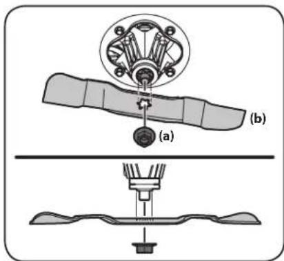 (a) (b)