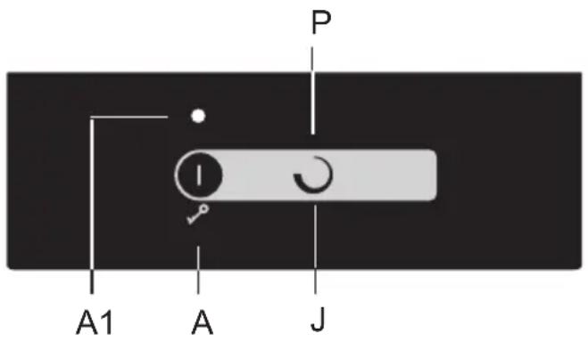 A1 A J P