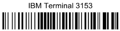IBM Terminal 3153