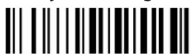 ZEBRA PowerScan M8300 - Begin Format Definition - 8