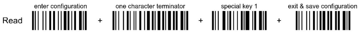 Enter configuration one character terminator special key 1 exit & save configuration Read