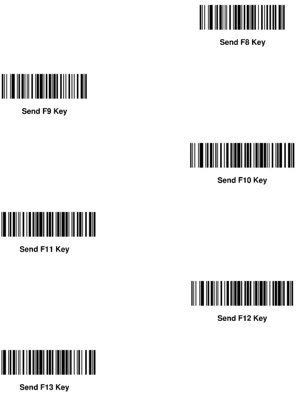 ZEBRA Symbol DS6607 - Keyboard Characters - 125