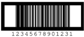 12345678901231