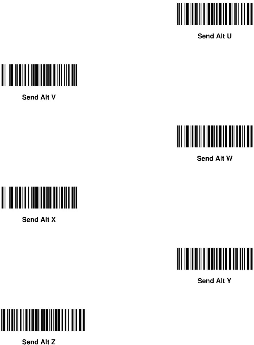 ZEBRA Symbol DS6607 - Keyboard Characters - 87