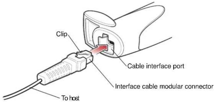 Clip Cable interface port Interface cable modular connector To host
