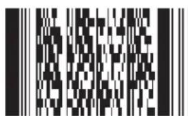 Black and white QR code image with vertical bars on both sides